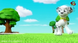 انیمیشن پاوپاترول قسمت نهم از فصل دوم PawPatrol S02E09